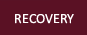 RECOVERY